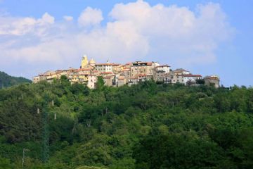 Sfoglia la galleria