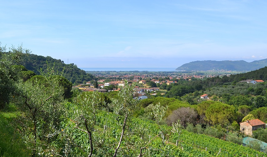 Veduta dal giardino 